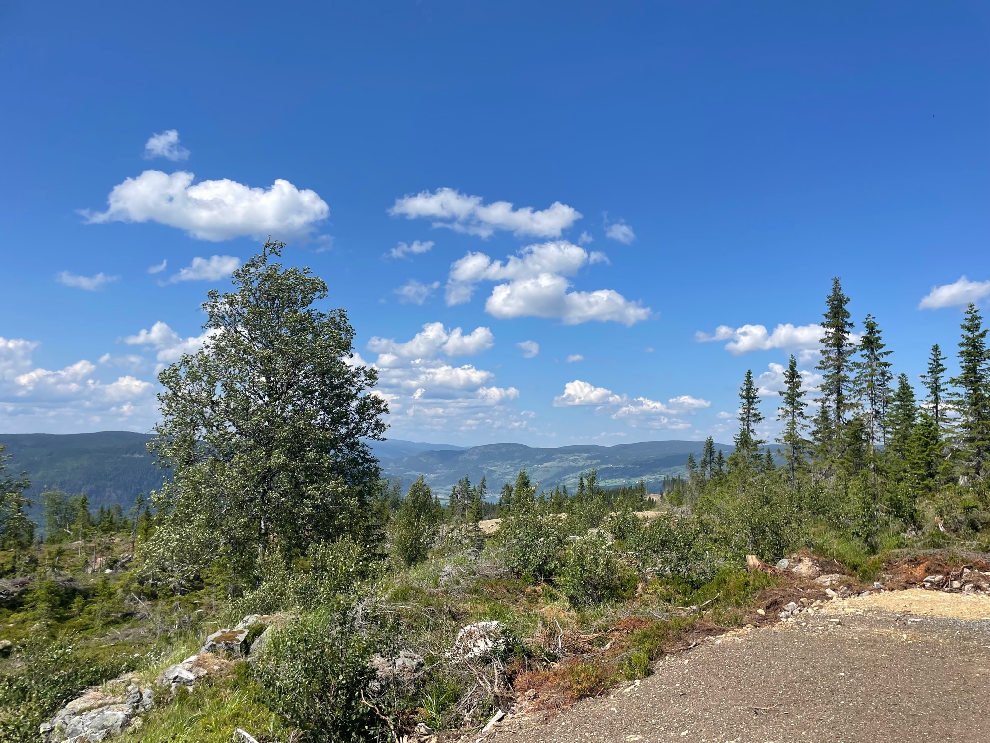 Sommerutsikt fra tomten mot Gudbrandsdalen